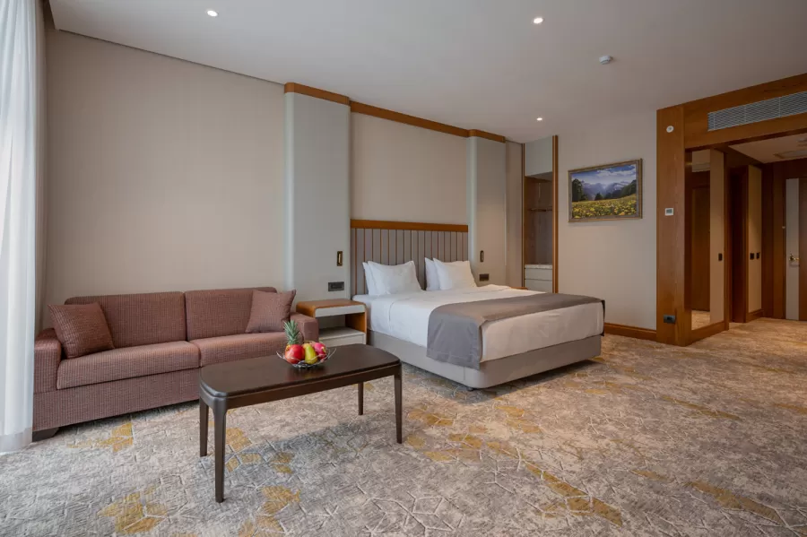 Номер «Супериор DBL» в санатории Источник в городе Кисловодск - фотография