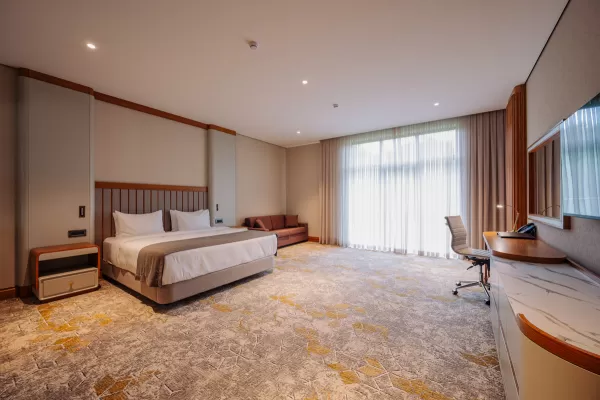 Номер «Делюкс» в санатории Источник в городе Кисловодск - фотография