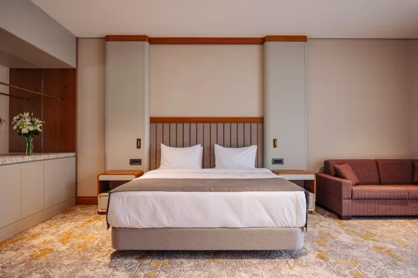 Номер «Делюкс» в санатории Источник в городе Кисловодск - фотография