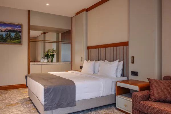 Номер «Делюкс» в санатории Источник в городе Кисловодск - фотография