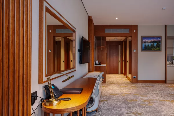 Номер «Делюкс» в санатории Источник в городе Кисловодск - фотография