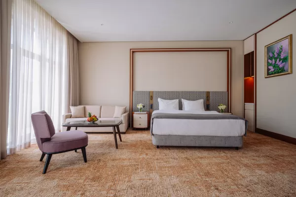 Номер «Делюкс Элегант DBL» в санатории Источник в городе Кисловодск - фотография