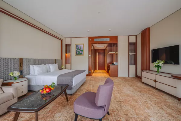 Номер «Делюкс Элегант DBL» в санатории Источник в городе Кисловодск - фотография