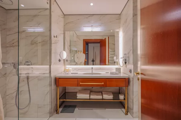 Номер «Делюкс Элегант DBL» в санатории Источник в городе Кисловодск - фотография