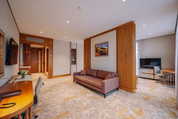 Номер «Делюкс Премьер» в санатории Источник в городе Кисловодск - фотография