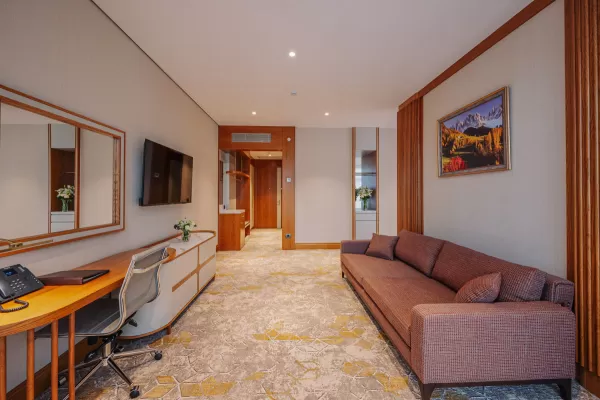 Номер «Делюкс Премьер» в санатории Источник в городе Кисловодск - фотография