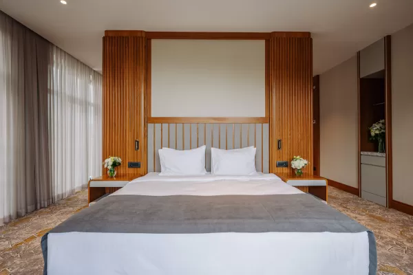 Номер «Делюкс Премьер» в санатории Источник в городе Кисловодск - фотография