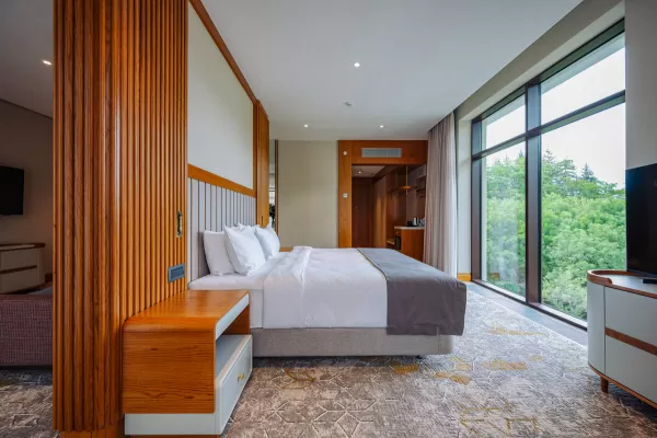 Номер «Делюкс Премьер» в санатории Источник в городе Кисловодск - фотография