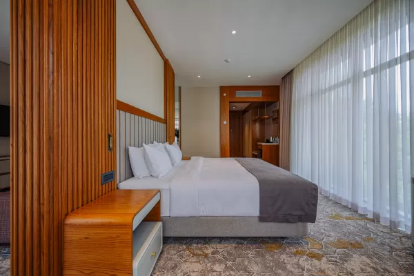 Номер «Делюкс Премьер» в санатории Источник в городе Кисловодск - фотография