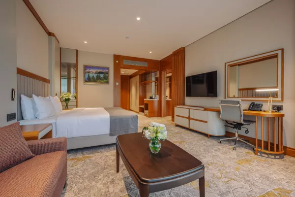 Номер «Люкс» в санатории Источник в городе Кисловодск - фотография