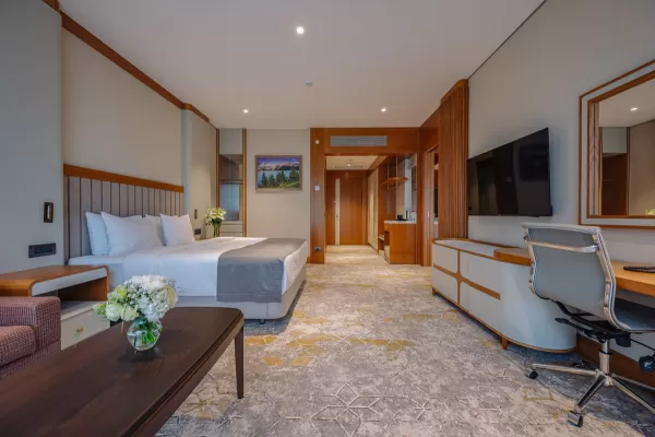 Номер «Люкс» в санатории Источник в городе Кисловодск - фотография