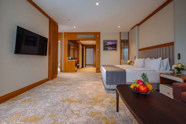 Номер «Сюит Модерн» в санатории Источник в городе Кисловодск - фотография