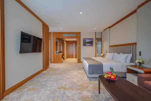 Номер «Сюит Модерн» в санатории Источник в городе Кисловодск - фотография