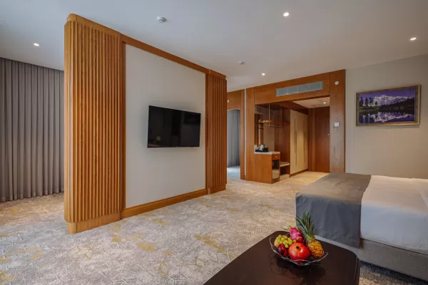 Номер «Сюит Модерн» в санатории Источник в городе Кисловодск - фотография