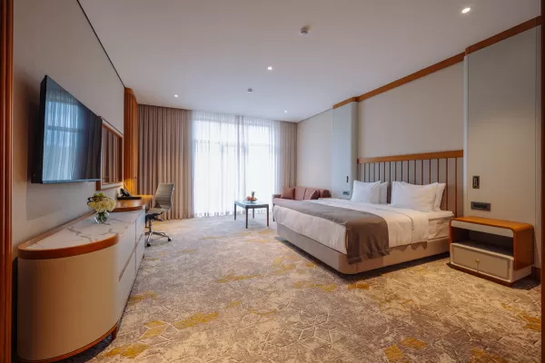 Номер «Супериор DBL» в санатории Источник в городе Кисловодск - фотография