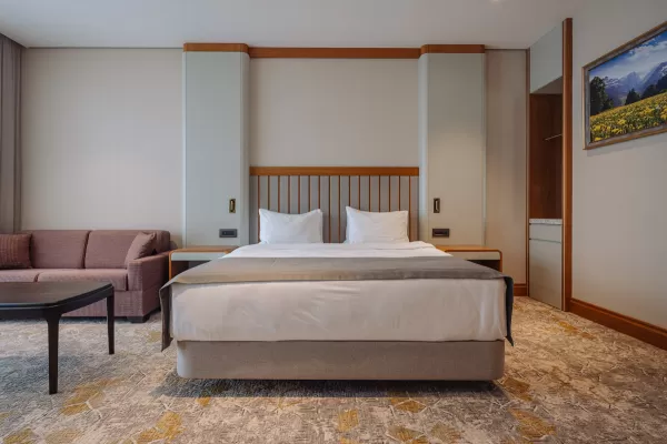 Номер «Супериор DBL» в санатории Источник в городе Кисловодск - фотография