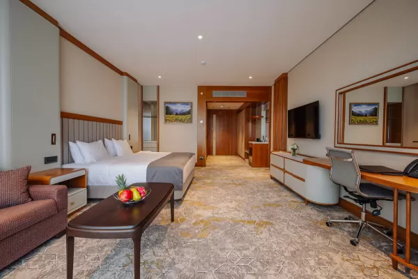 Номер «Супериор DBL» в санатории Источник в городе Кисловодск - фотография